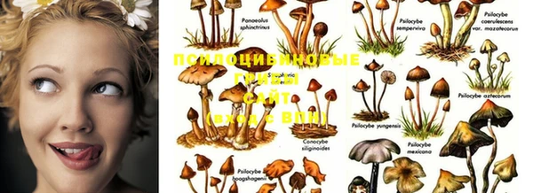 кристаллы Алзамай