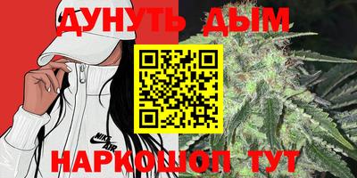 гидра Славгород