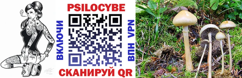 купить наркотики сайты  Усть-Илимск  Галлюциногенные грибы ЛСД 