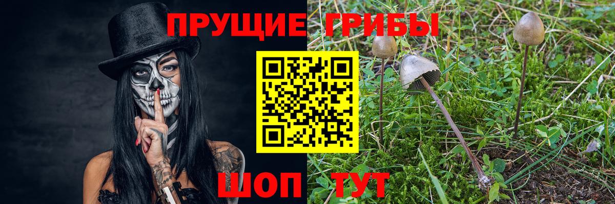 Псилоцибиновые грибы Psilocybine cubensis  Вход с VPN  Усть-Илимск 